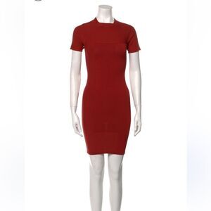 Alexander Wang Brick Red Stretch Mini Dress Women’s Size Small